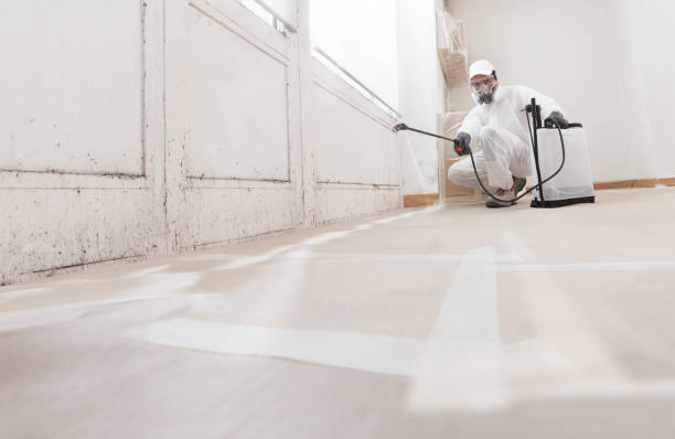 24/7 Emergency Mold Remediation experts in Jackson, NC