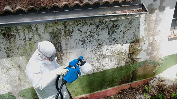 Top rated local Mold Remediation specialists in Jackson, NC